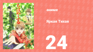 Яркая Тихая 1 сезон 24 серия (аниме-сериал, 2011)