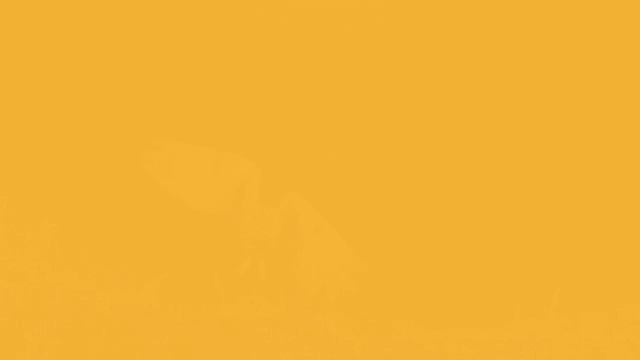 ef5e_preint_10b_1_listening_a смотреть онлайн