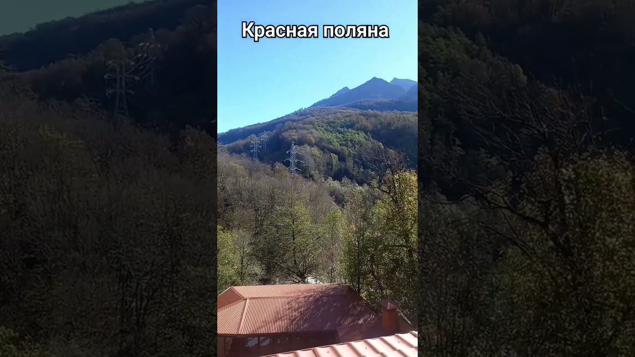 В горах Красной поляны, красота. #сочи #краснаяполяна #горы