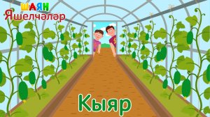 «ШАЯН Яшелчәләр» - Кыяр | Учим овощи на татарском языке - Огурец