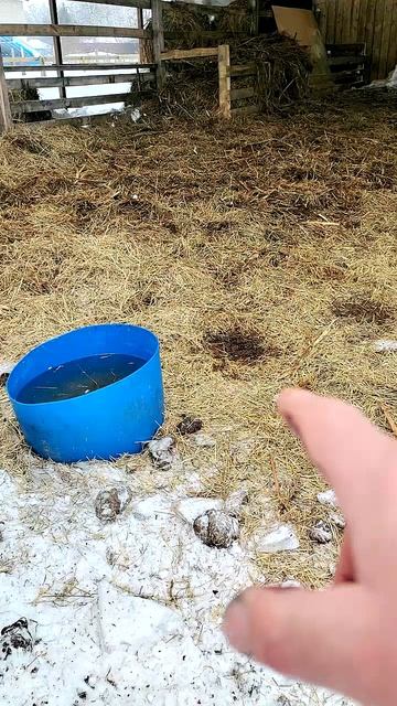 Деревенская жизнь: где анекдоты лучше телевизора. 😄📺