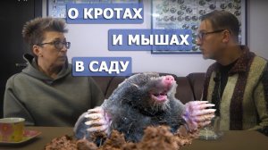 Беседуем с ландшафтным дизайнером и садовником Ладой Кулыгиной о мышах и кротах в саду.
