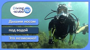 Погружение в полнолицевой маске. Дайвинг, Крым, Севастополь.