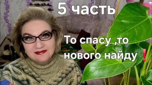 5 часть. То спасу, то нового найду🤯❗️