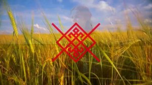 Утро Сварога