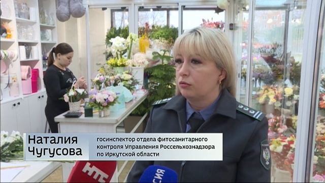 Проверки растений на наличие вредителей ведут сотрудники Россельхознадзора в Иркутске смотреть онлайн