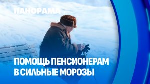 Сильные морозы и снегопады становятся настоящим испытанием для пожилых людей. Панорама