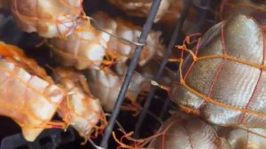 Прекрасная Кета горячего копчения