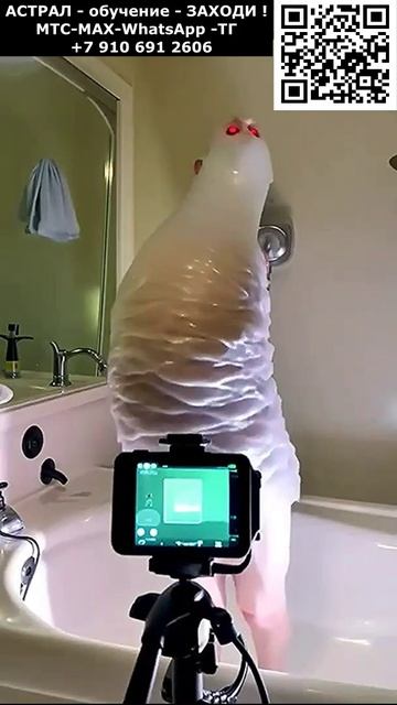 Хоррор из Европы. Монстры и мутанты. Нейросеть ИИ. Арт нейросеть #ИИ #нейросеть #видео #AI #хоррор смотреть онлайн