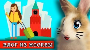 КОТ МАЛЫШ И КРОЛИК БАФФИ СМОТРЯТ ПРИКЛЮЧЕНИЯ В МОСКВЕ!! [2019]