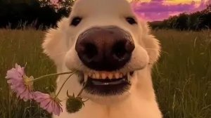 убиваю короля слизней