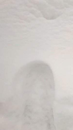 земельный участок соловьиная роща