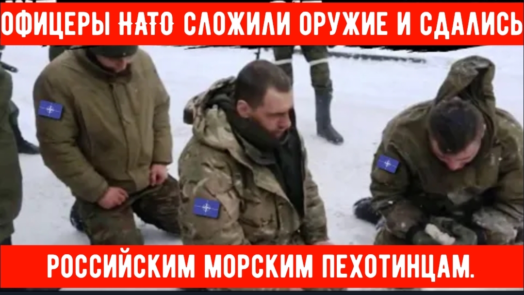 Ужасающий момент в Лимане: Офицеры НАТО сложили оружие и сдались Российским морским пехотинцам. смотреть онлайн