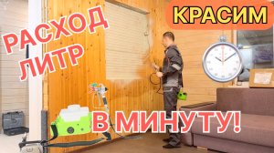 Чем красить на даче без розетки? Тест мобильного Heimerdinger LB117 против сетевого Zitrek 650DR