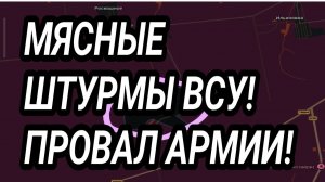 МЯСНЫЕ ШТУРМЫ ВСУ! ГУЛЯЙПОЛЕ, КУПЯНСК, ВОЕННЫЕ СВОДКИ