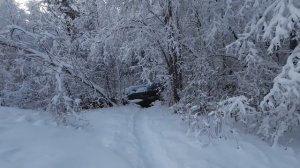 Двое с машине.
Кто куда а мы в зимний лес.