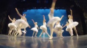 Классический балет в двух актах «Лебединое озеро». Звезды Санкт-Петербургского балета