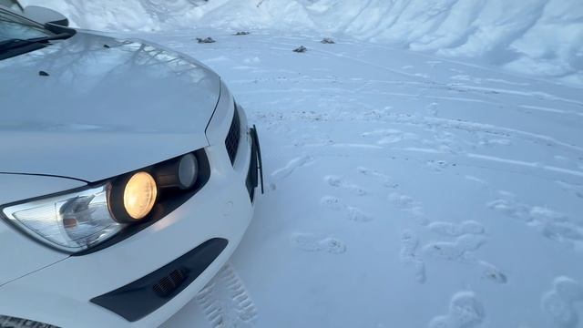 IMG_4027 смотреть онлайн