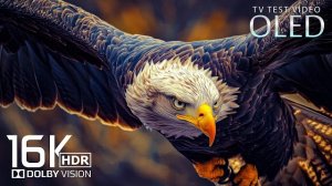 Потрясающая природа и архитектура в UHD