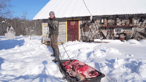 ЗАВАЛИЛ КАБАНА , ХВАТИТ НА ГОД . ВОЛКИ ЖРУТ СОБАК в ДЕРЕВНЕ!!! №377