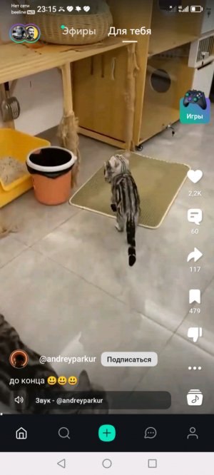 Алиса управляет моей жизнью