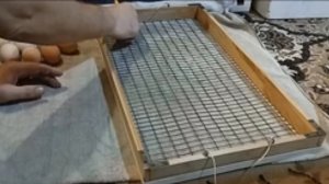 Инкубация куриных яиц в 2025 году. Первый наш опыт. (первая инкубация)