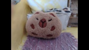 Капибара не простая🤣😂🤣🤣😂😂🤣