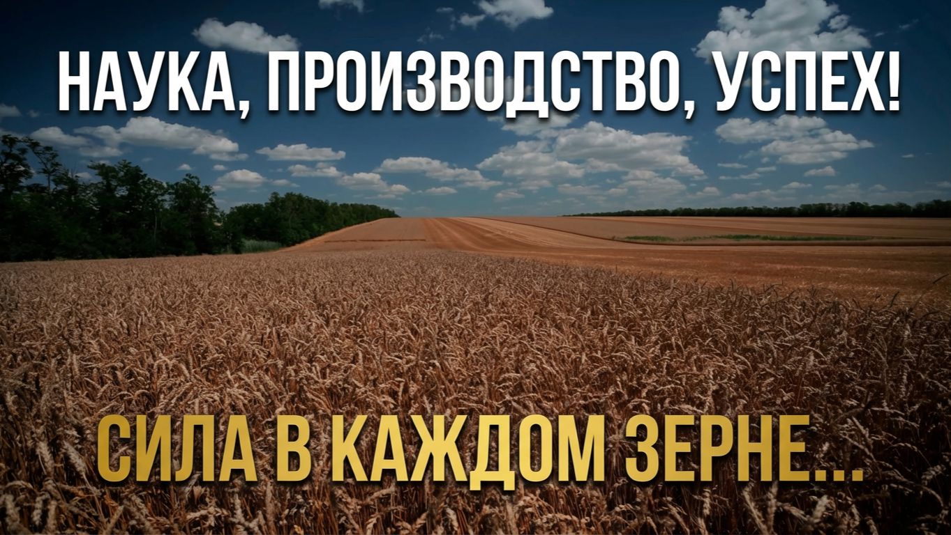 Тизер проекта «Клиенты НПХ „Кубань“: опыт, результат, урожай»