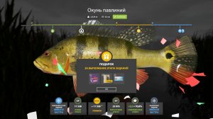 Русская Рыбалка 4-Новогодние Экстра Задания 2026: Окунь павлиний оз. Лосиное