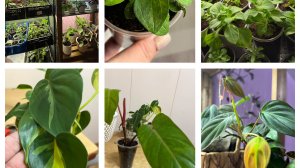 Добралась и до них! Подрастает помощник!