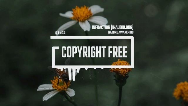 Cinematic Documentary Drone by Infraction [No Copyright Music] ⧸ Nature Awakening смотреть онлайн