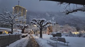 Утренний снегопад в Интерлакене. Самая красивая зимняя красота Швейцарских Альп