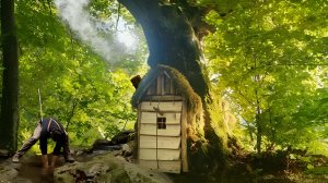 Соорудил тайное убежище в большом дереве. Выживание и рыбалка в дикой природе. Бушкрафт