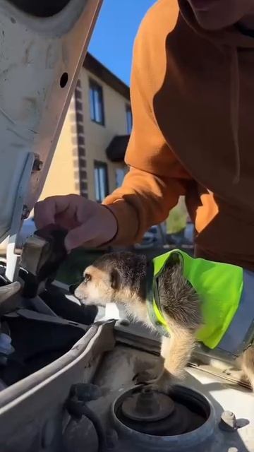 Автомеханик смотреть онлайн