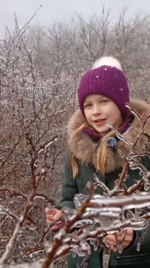 Ледяной дождь.