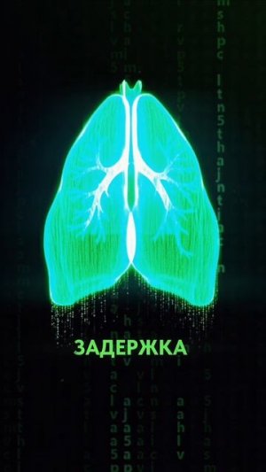 Дыхание, которое чистит мозг и гармонизирует состояние