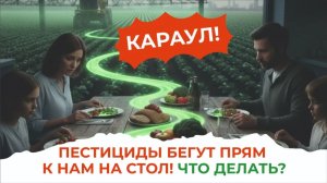 Как спасти, как сохранить сильный микробиом Быть здоровым просто.