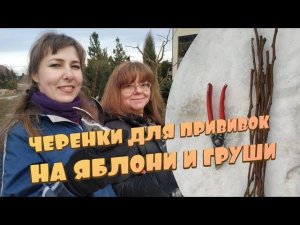 Вы ещё не сделали прививки? Тогда мы идём к вам! Заготавливаем материалы