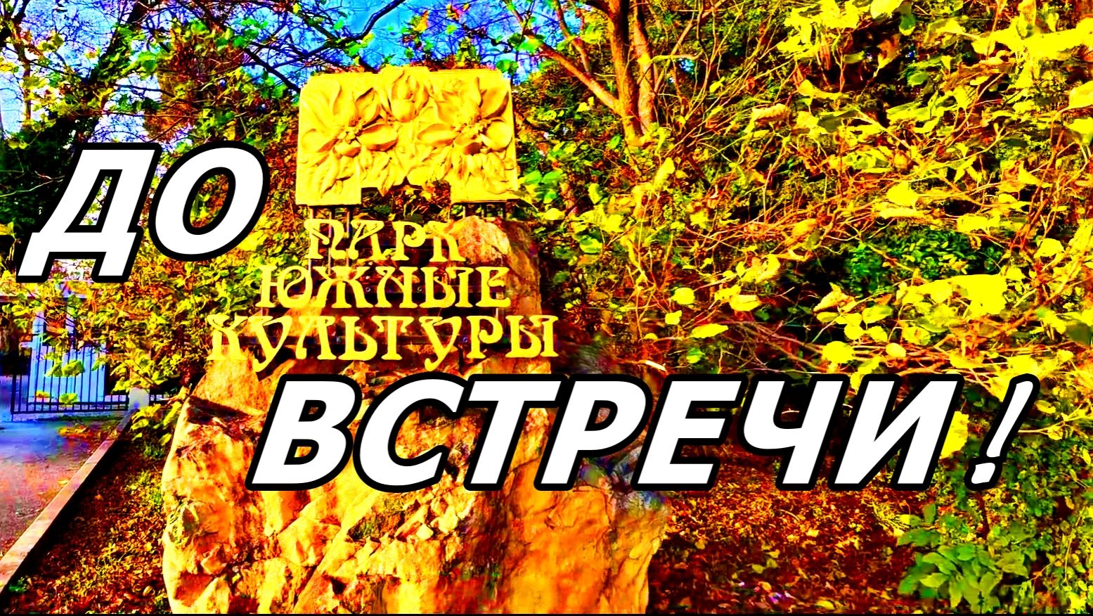 ЮЖНЫЕ КУЛЬТУРЫ, ДО ВСТРЕЧИ! ПОГУЛЯЛИ, ДОВОЛЬНЫЕ ИДЁМ К ВЫХОДУ ИЗ ПАРКА. АДЛЕР. 23 НОЯБРЯ 2025 ГОДА. смотреть онлайн