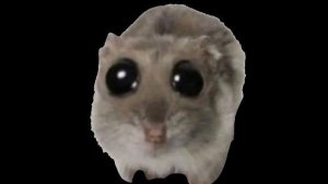 УТЕРЯННАЯ ЛОСТ-МЕДИА. ГЛАВА I.