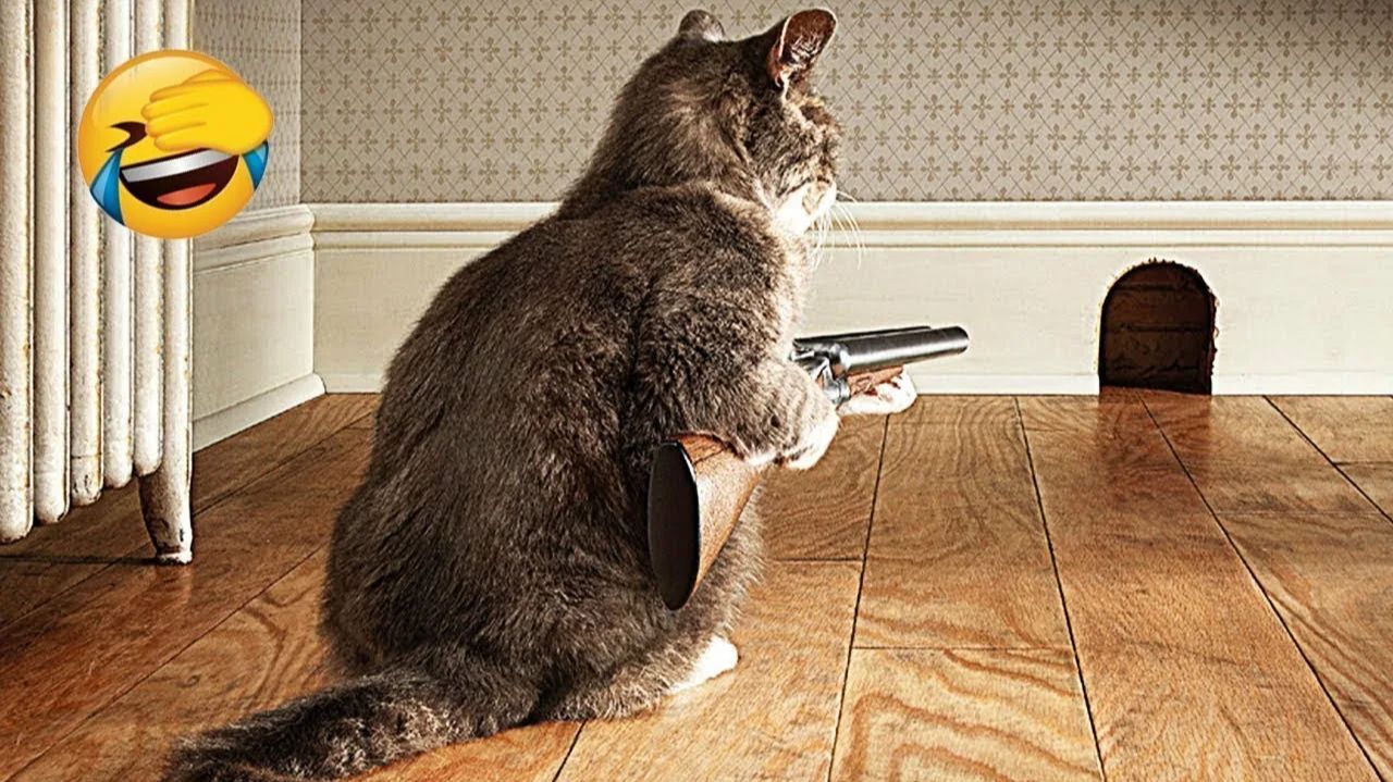 Смешные и забавные животные 😻😺 Лучшие приколы с животными 🐶 Подборка приколов с животными