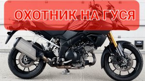 Suzuki Dl1000 V-Strom - флагманский тур-эндуро от Сузуки💯