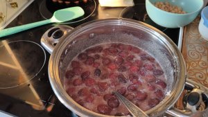 Вишнёвое вино из замороженной вишни и готового набора