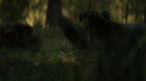 хищник Vs змея