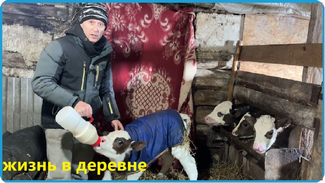 ТАКОЙ МОРОЗ НЕ ВЫДЕРЖИВАЮТ НИ МАШИНЫ НИ ПТИЦЫ А МЫ РАМШИРЯЕМСЯ, ЖИЗНЬ В ДЕРЕВНЕ смотреть онлайн