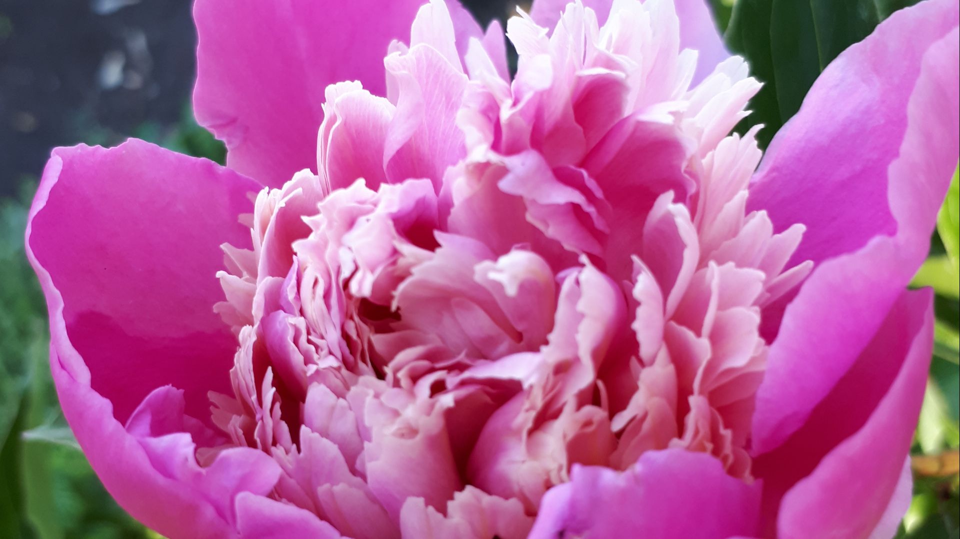 Развод - создано на сайте ТвойХит.рф стихи Е. Касаткиной.