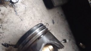 как вам ещё рейсик