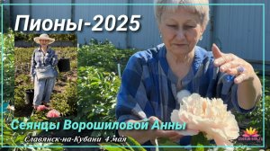 СЕЯНЦЫ АННЫ ВОРОШИЛОВОЙ-6 ЧАСТЬ/САД ВОРОШИЛОВОЙ