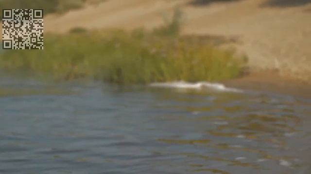 Молодая девушка в купальнике смотреть онлайн