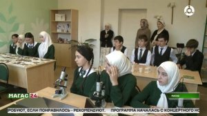 Развитие системы воспитания детей в образовательных организациях